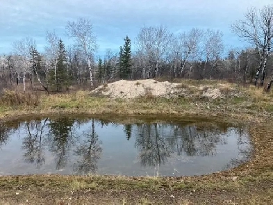 Farmland Recreational Land for Sale