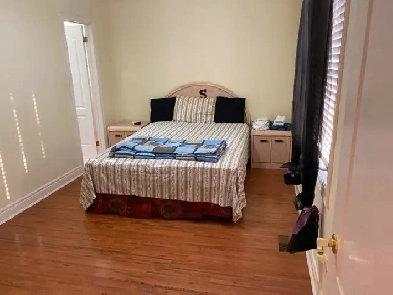 Room for Rent - April 1st -  $900  - Albion /Islington -  Female Image# 1