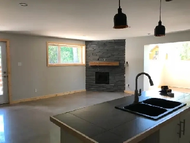 Appartement 5 1/2 à louer, village Val-David Image# 1