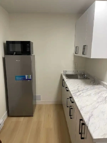 1 Bachelor suite available for rent - Fully furnished! (Surrey) Image# 1