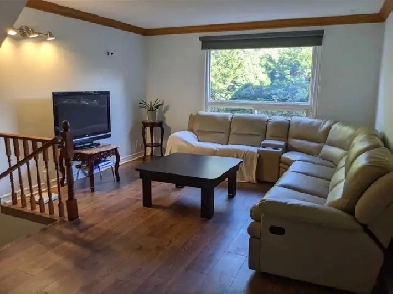 Gorgeous 3 Bed 1 Bath Home on Spruce Hill Road Image# 1