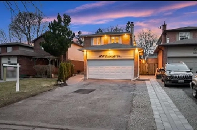 Basement for rent Image# 1