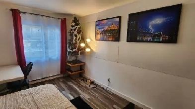 Chambre rénovée - tout inclus -  Plaza Côte-des-Neiges Image# 1