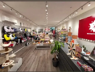 Shared Commercial Space for Rent – Prime Quinpool Location! Image# 1