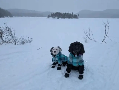 ROOM RENTAL Image# 1