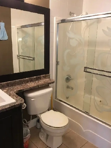 Cozy 1-Bedroom Walk-Out Basement Suite – Fleetwood, Surrey Image# 1