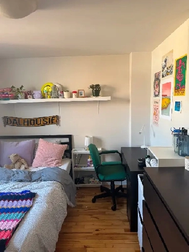 Summer sublet in Halifax! Larch street Image# 1