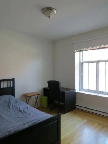 chambre sur le plateau à sous-louer (dès maintenant) Image# 1