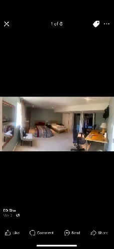 MASTER BEDROOM IN GIRLS WALK OUT APARTMENT FOR RENT AT 21 MOSS B Image# 1