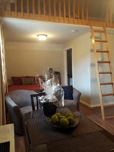 Furnished Short Term Suite Near Lumsden Image# 4
