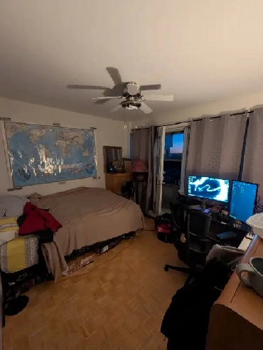 Private Bedroom for rent Image# 1