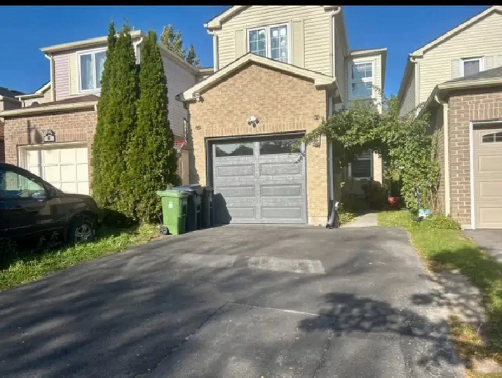 Scarborough Detach house - 3 1 bedroom and 4 washrooms in City of Toronto,ON - Apartments & Condos for Rent