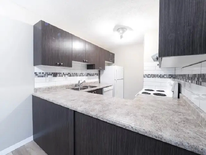 Minutes to Century Park LRT - Spacious Renovated 2 Bedroom Apt in Edmonton,AB - Apartments & Condos for Rent