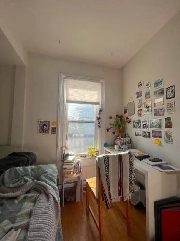 Cat friendly lease takeover in North End Halifax Image# 1