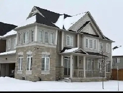 4 BED 4 BATH HOUSE FOR RENT Image# 1