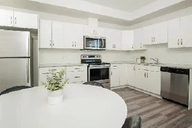 Beautiful 2 Bedroom Apartment in Wolseley Available April 1 Image# 1