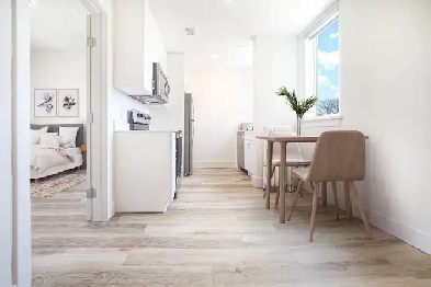 Newly Renovated 1 Bedroom Apartment Available April 1 for Rent! Image# 1