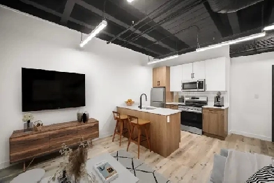 BRAND NEW 1 Bedroom Apartment in West Broadway for Rent! Image# 8