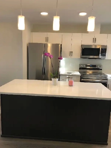 Brand New House For Rent Image# 1