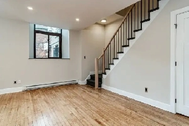 2 Bedroom Downtown Apartment for Rent Image# 1