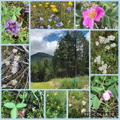 Cottages at Copperpoint - Lot For Sale Image# 1