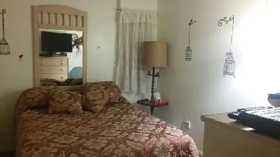 Chambre en colocation au sous-sol Image# 1