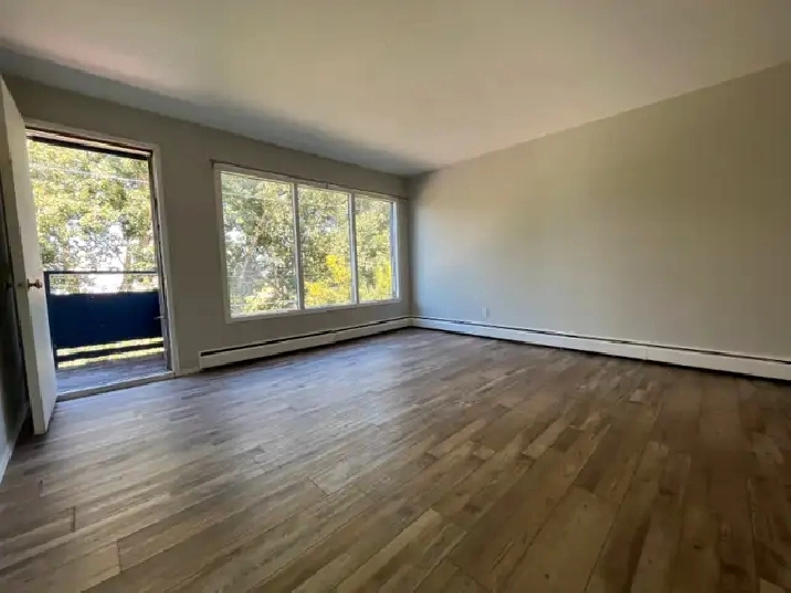 Spacious Newly Renovated 2 Bedrooms Suite Near Downtown in Calgary,AB - Apartments & Condos for Rent
