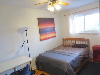 Very Clean Furnished Room Near Algonquin College ! Image# 1