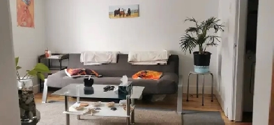 3 1/2 TOUT INCLUS! À côté du cegep de Sherbrooke! Image# 1