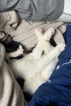 Private Room for Rent Image# 1