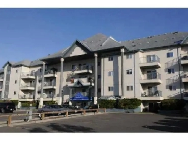 West Edmonton-Terra Losa 2 Bedroom Condo Image# 10