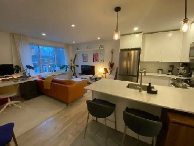 Lumineux 3 1/2 meublé, entièrement rénové à Rosemont. Image# 1