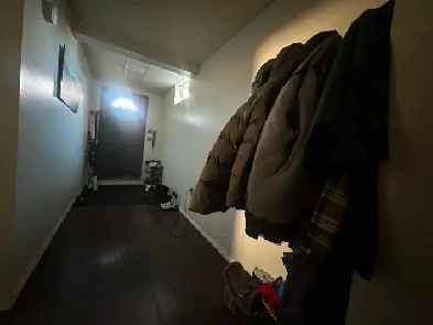 Basement Suite for rent Image# 1