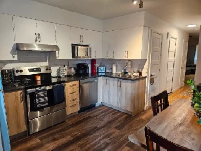 4½ complètement rénové Métro Frontenac Ville-Marie Montréal Image# 1