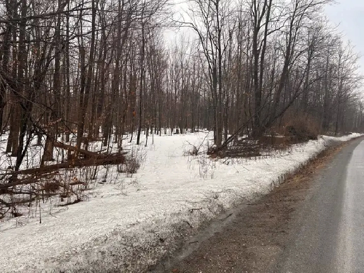 BEAUTIFUL 1 ACRE LOT NEAR MISSISSIPPI LAKE! in Ottawa,ON - Land for Sale