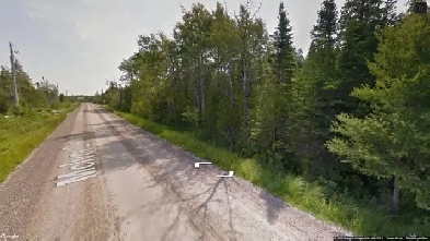 Beautiful Residential Estate Property in Northern Bruce Image# 1