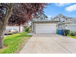 Fabulous One Bedroom Rental, Spacious Basement Apartment Image# 1