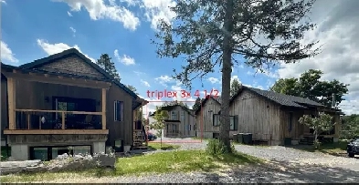 4 1/2, village de Val-David, construction neuve Image# 1