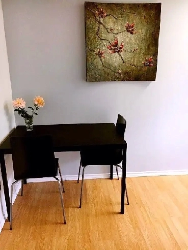 furnished upstairs room for a female student, close University