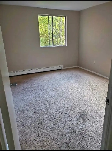 Room available for rent - looking for a female roommate Image# 1