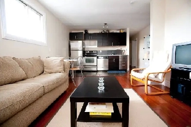 4 Bedroom Apartment at 394 Alfred Street Available May 1st 2025! Image# 1