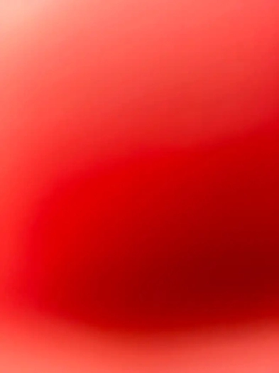 2 bedroom basement Image# 1