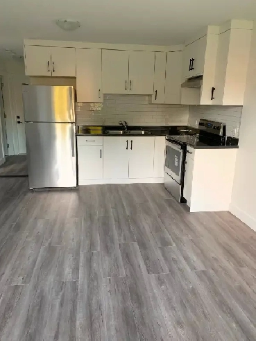 Brand New 1 Bedroom Basement For Rent $1,800 Image# 1