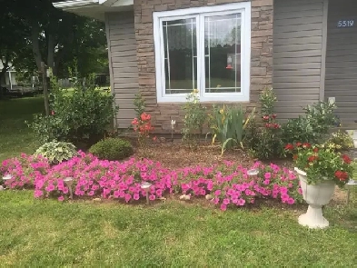 SPACIOUS DUPLEX FOR RENT Image# 1