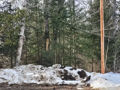 VACANT LAND FOR SALE, LOT 21 CON 13 PART 1, MATTAWA ONTARIO Image# 1