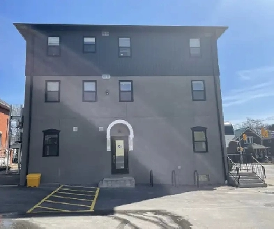 1 Bedroom - Newly Renovated May 1st move in Image# 1