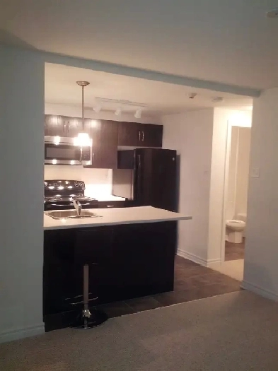 Condo in Alta Vista/near General Hospital/CHEO