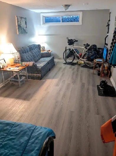 Heron Gate Mall, Huge room in basement available immediately.