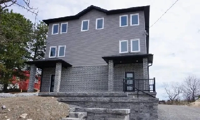 67/69 Gardiner Street - Studio Semi for Rent Image# 1