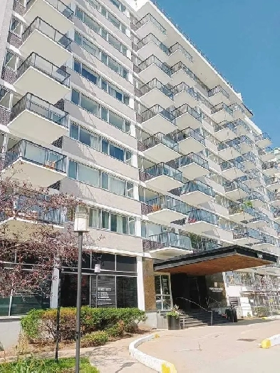 1 bedroom available for summer Image# 1